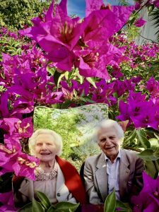 Kas, bougainvillea...